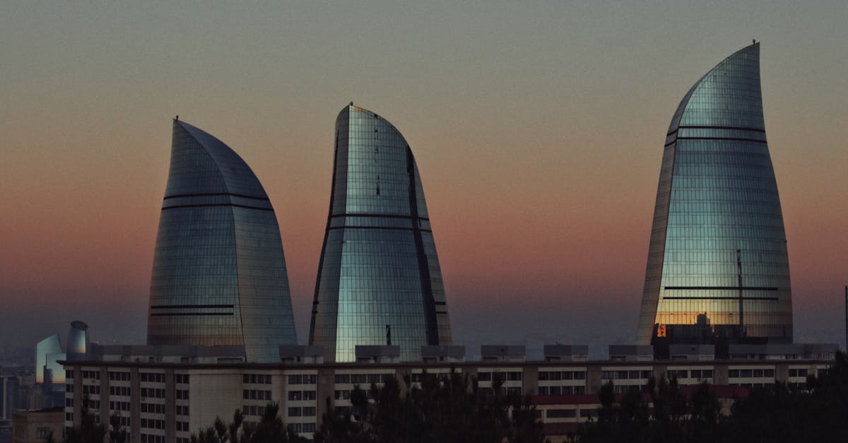 découvrez "les triplettes de belleville", un film d'animation français captivant mêlant humour, mystère et une aventure unique à travers la musique et la nostalgie.