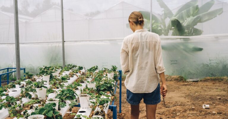 découvrez l'aquaponie, une méthode innovante et écologique combinant aquaculture et hydroponie pour cultiver des plantes et élever des poissons de manière durable.