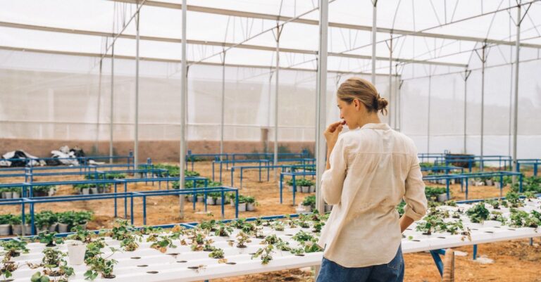 découvrez les pratiques d'agriculture durable qui préservent l'environnement, améliorent la qualité des sols et favorisent une production alimentaire responsable pour les générations futures.