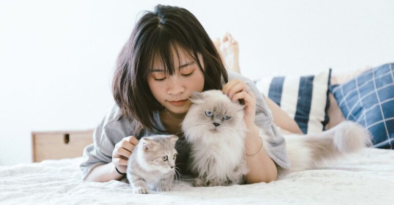 découvrez comment vivre en harmonie avec votre chat grâce à nos conseils pratiques et astuces pour renforcer votre complicité et assurer son bien-être.